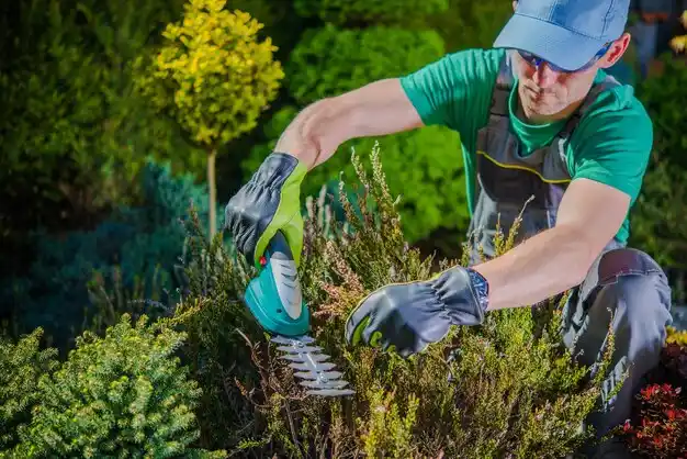 landscaping services Brooksville
